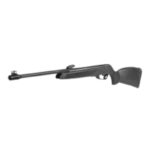 GAMO BLACK BEAR IGT .177